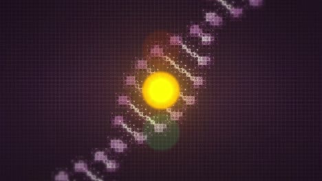 Animation-of-dna-strand-over-traffic-lights-and-dark-background