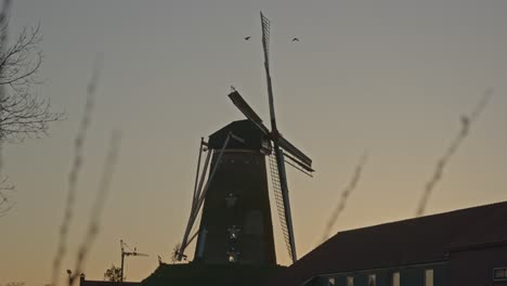 birds flying over historical windmill in a beautiful landscape in the netherlands at sunset