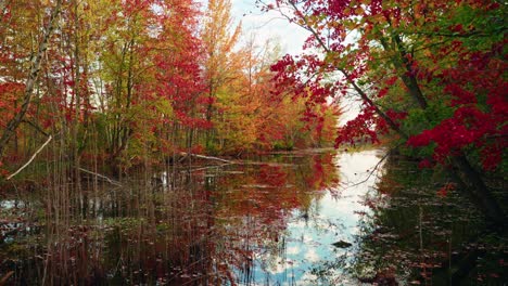 Autumn forest trail with vibrant trees and calm water reflections, North America, Quebec, Montreal, Canada.