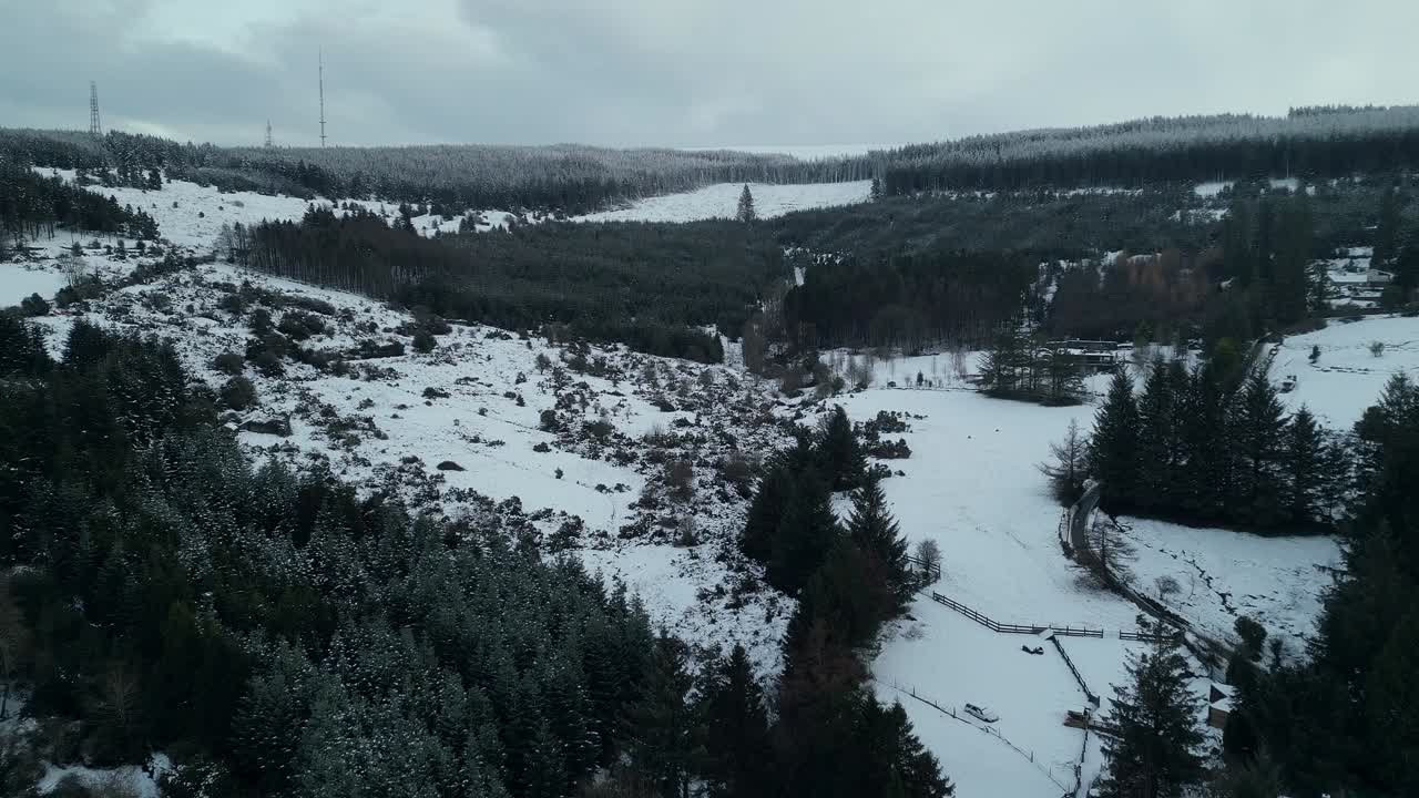 Aerial view of Dublin Mountains during a snow storm - Ticknock Forrest with many Pine trees covered by snow - Winter in Ireland