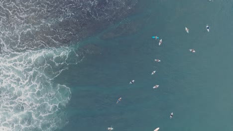 Top-Down-Drone-of-surfers-waiting-for-waves-at-low-tide-reef-with-beautiful-turquoise-water-at-Bingin-Beach,-Bali,-Uluwatu-Indonesia