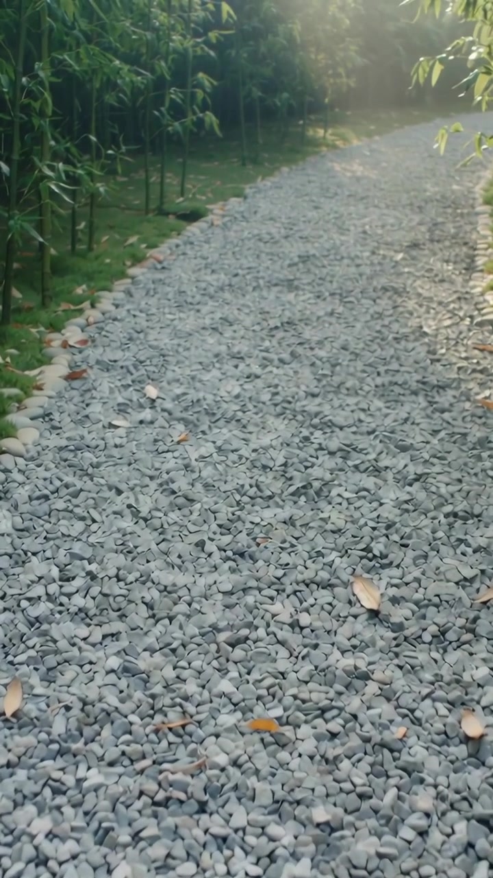 Vertical video: Starting camera moving showing gravel path at park to sunlit glade, bamboo leaves