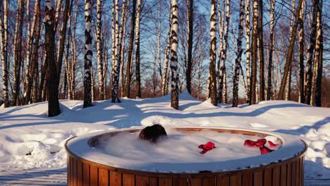 serene winter landscape revealing young woman relaxing in steamy rose filled hot tub, surrounded by snow covered birch forest, experiencing profound tranquility and inner peace