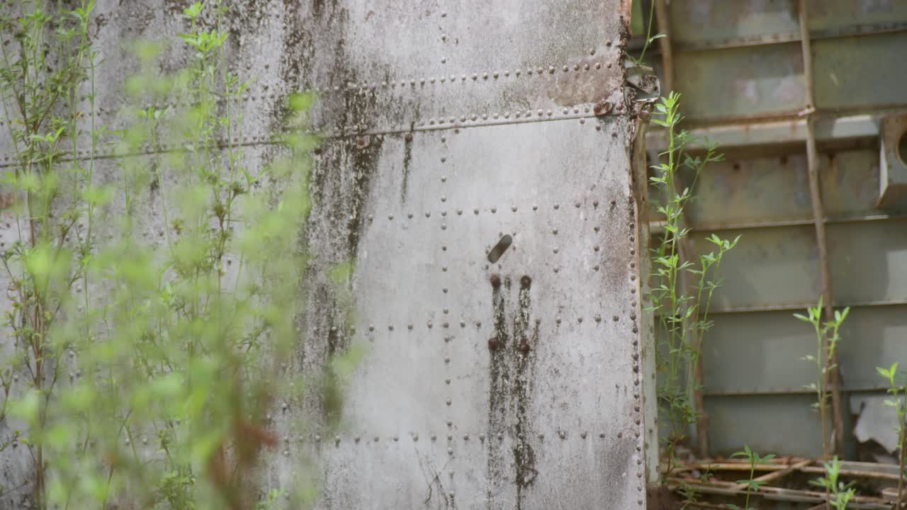 Ikonisk turistattraktion i Cape York: historisk flyvrag fra krigen. Klip 2
