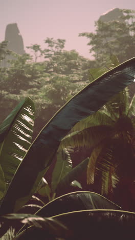 A lush tropical forest with large green leaves and palm trees.