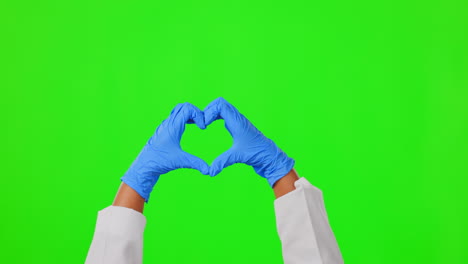 heart sign, doctor or hands of person on green