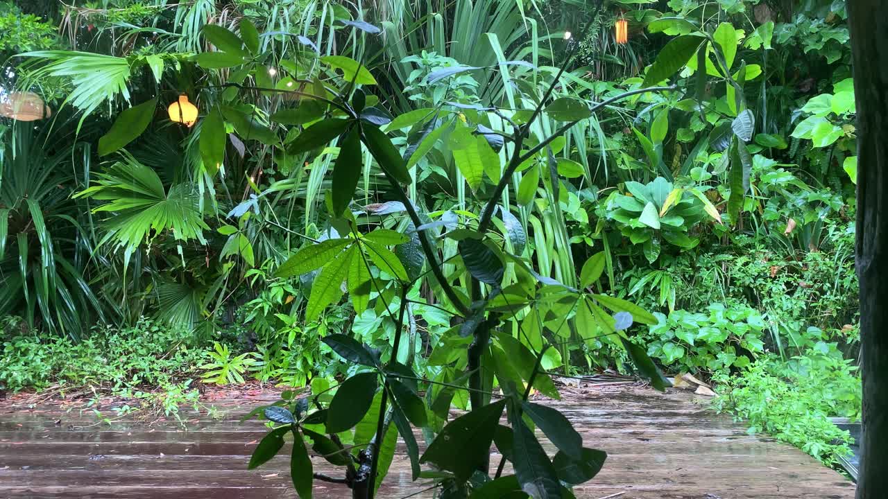 창 밖으로 4k hd 비가 내리는 오키나와 일본