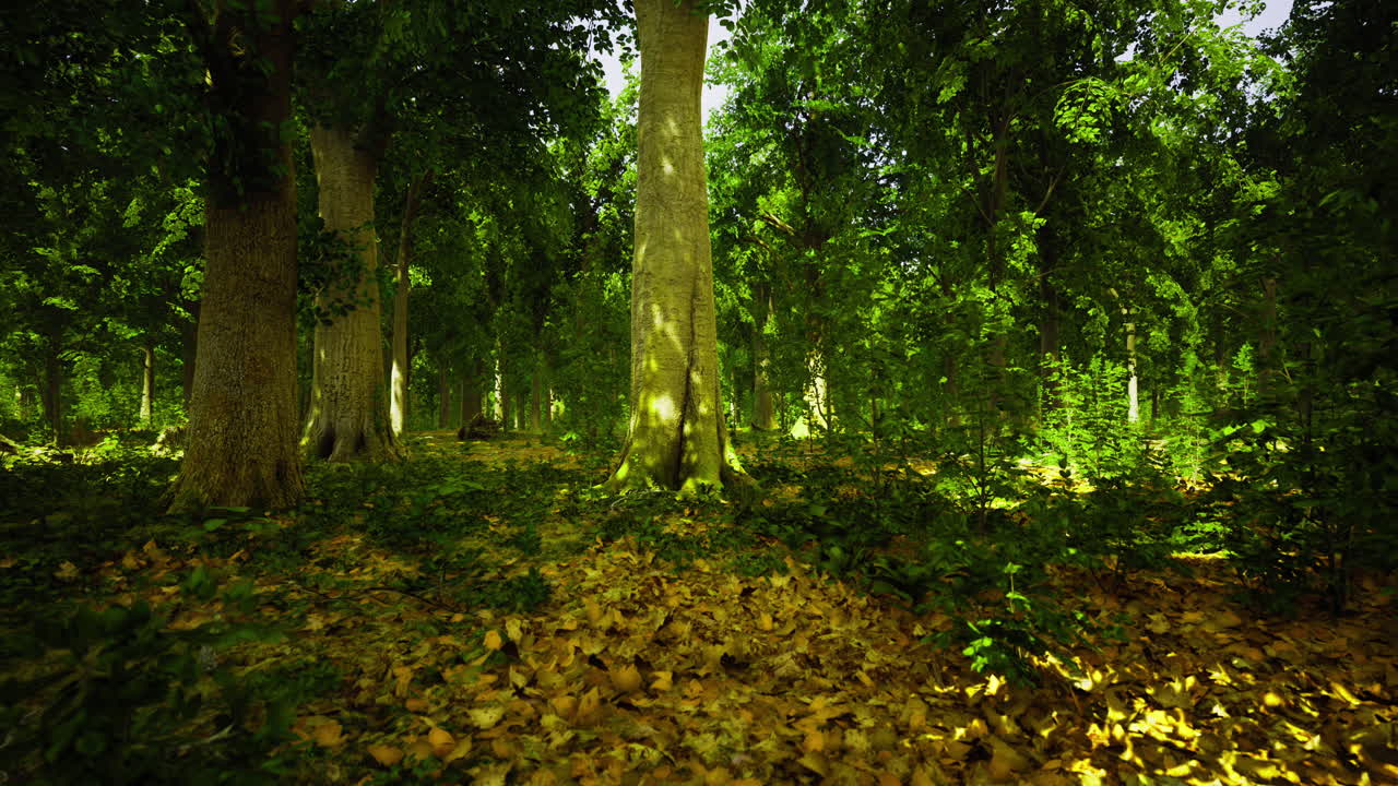 A vibrant forest is illuminated by sunlight breaking through the tall trees