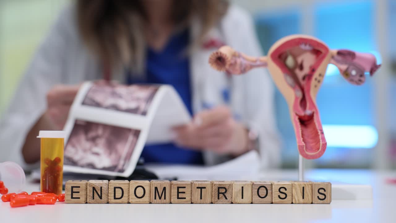 Medico che esamina immagini ecografiche con modello di utero con endometriosi