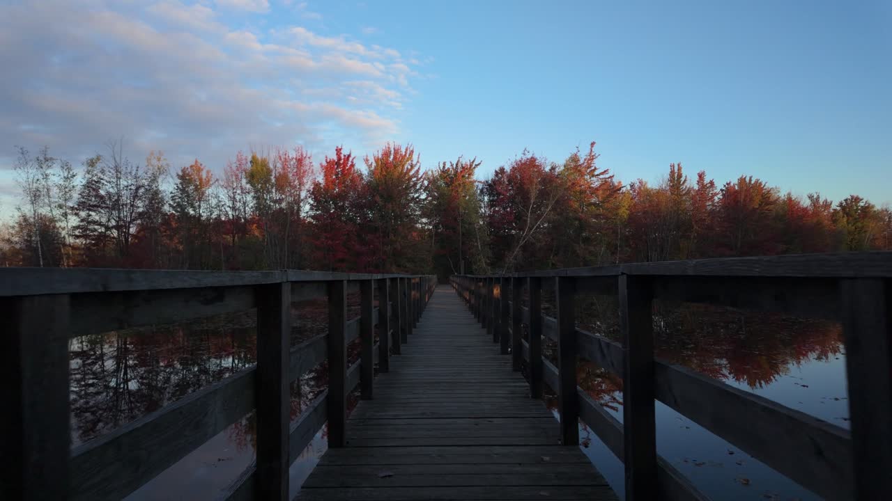 Walking Across The Footbridge Over The Calm Waters In The Autumn Forest Lake. POV Shot
