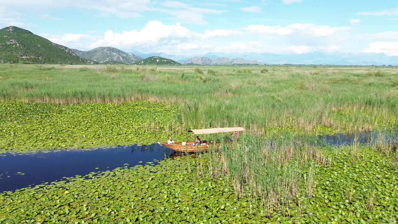 A wooden boat tour through calm blue waters covered with green water lily plants at Lake Skadar National Park, surrounded by mountains and wetlands. Drone shot