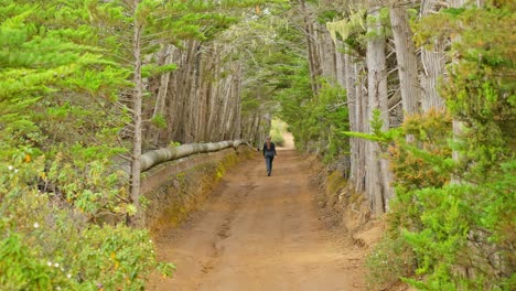 Young-brunette-walking-on-forest-road-in-Tenerife,-static-rear-view