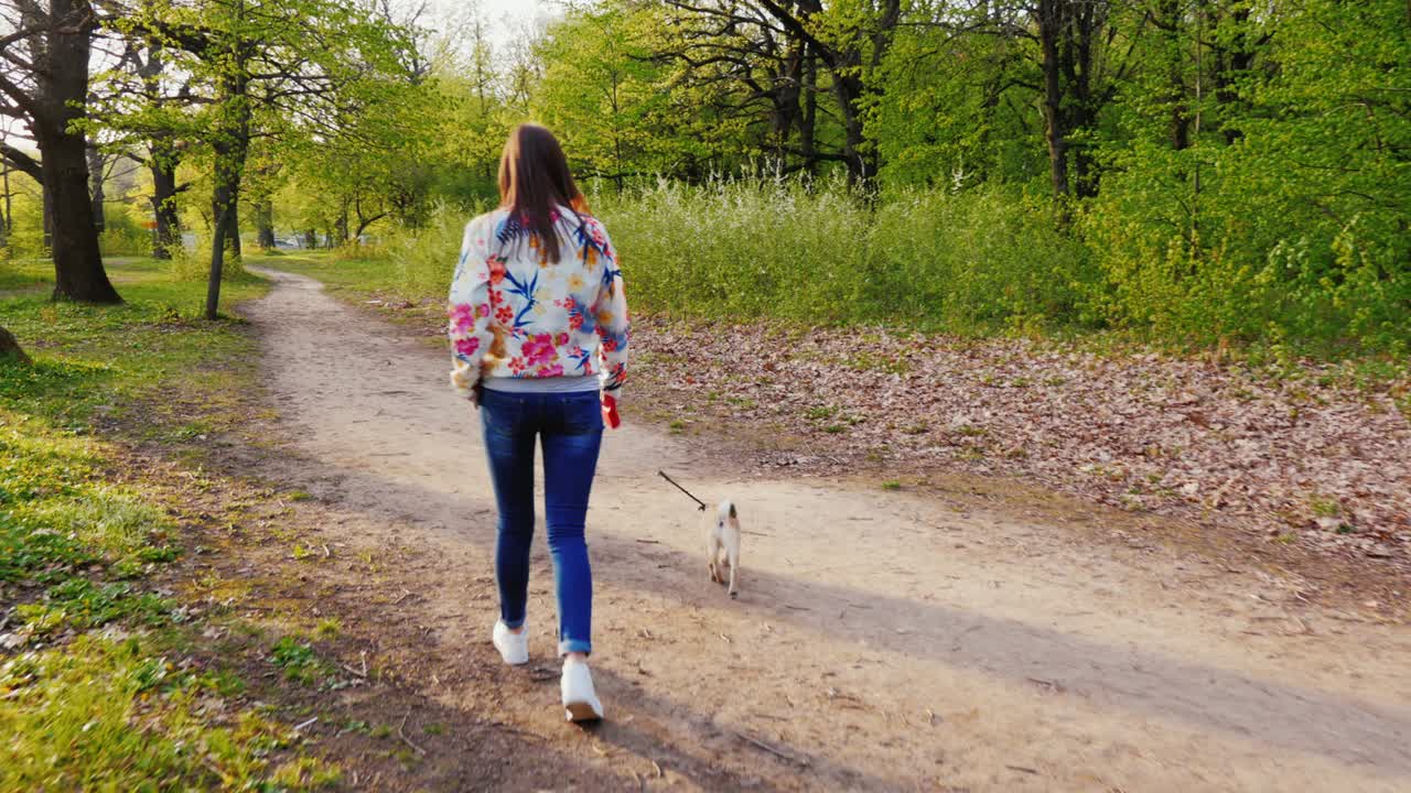 mujer joven con gafas de sol caminando con el perro en el parque. va contra el telón de fondo de la naturaleza pintoresca a lo largo del camino. vista trasera