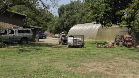 Person-transporting-boxes-full-of-fresh-tomato-fruits-with-ATV-and-trailer