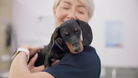 smile. hug and puppy with an old woman vet