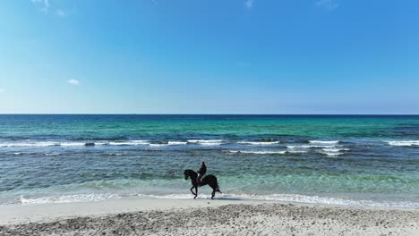 A-cinematic-aerial-view-of-a-Horse-at-Son-Bou-Beach-in-Menorca,-Spain