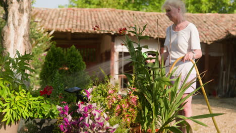 Mujer-Jardinera-Riega-Hermosas-Plantas-De-Patio-En-Macetas-En-La-Soleada-Mañana-De-Verano