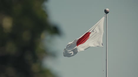 national flag of japan waving on a windy day in tokyo, japan