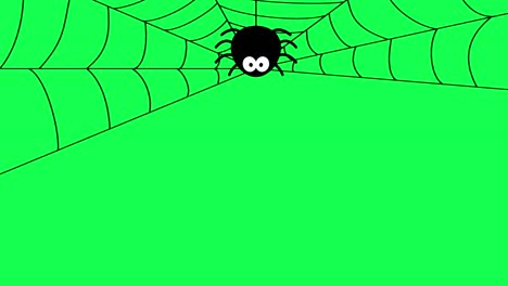 araña colgando en la web halloween animación de video animación