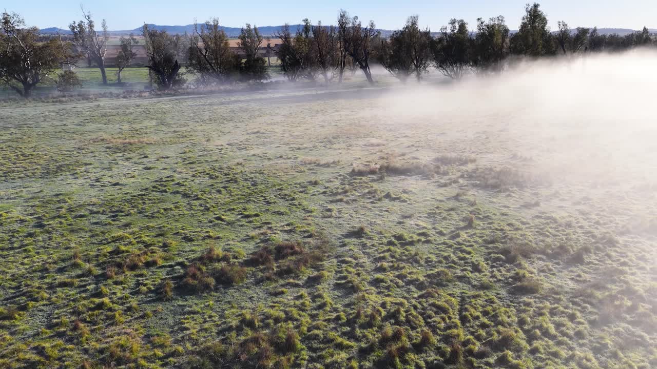 Low morning fog drifts across a dew-covered grassy field with distant trees, captured in a wide aerial shot under soft natural light
