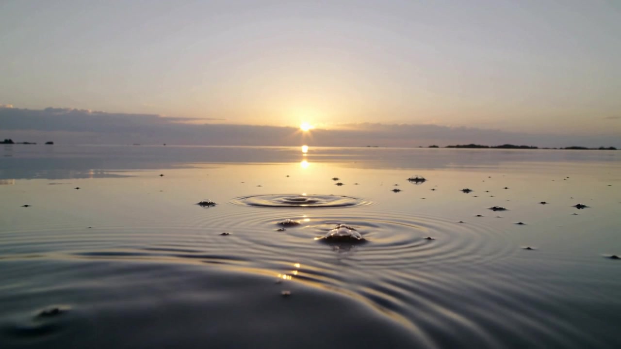 Toont ringvormige rimpelingen die uitdijen na een tweede verstoring op een wad, met de zon nabij de horizon en zeewier.