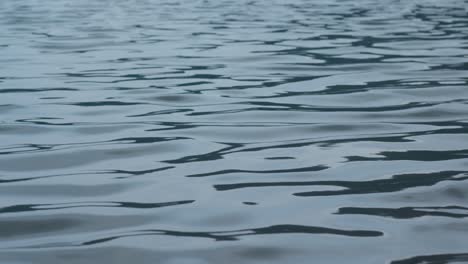 close-up view of sea water