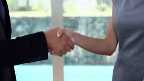 Man-and-woman-shake-hands