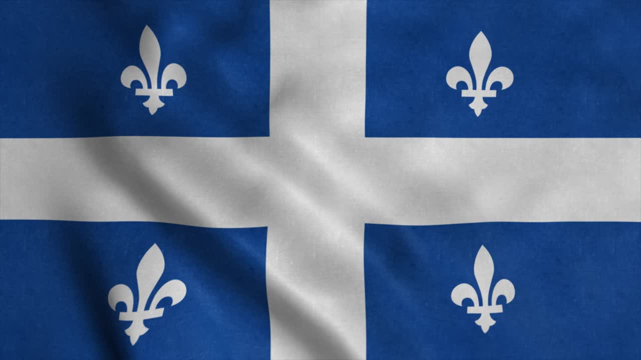 지방의 발이 바람에 흔들리는 영상. 현실적인 지방 발 배경