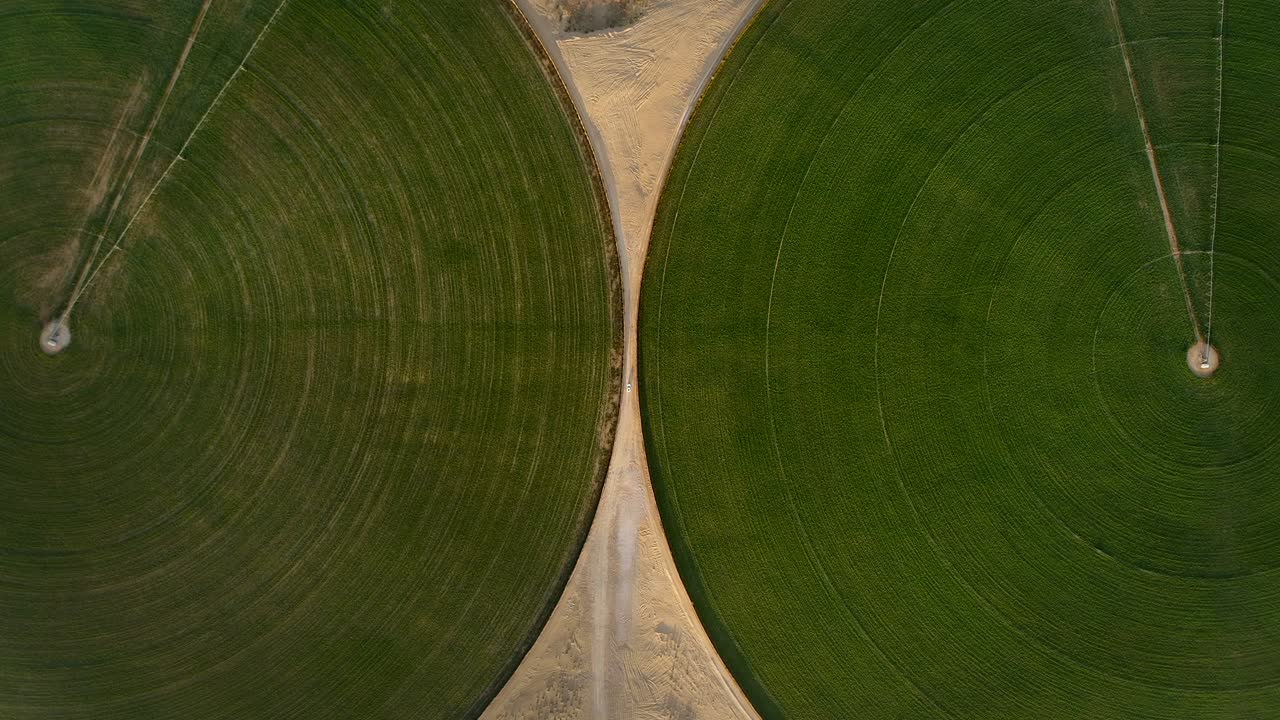 vista aérea de un coche conduciendo entre círculos verdes en el desierto de dubái.