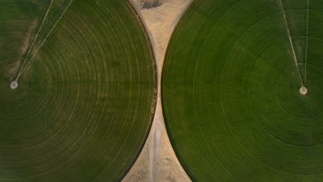 aerial view of a car driving in between green circles in the desert in dubai.