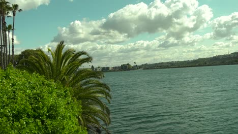 puerto deportivo con palmeras y árboles tropicales