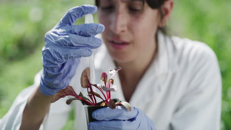 Regar-Las-Plantas-Es-Una-Experiencia-Terapéutica