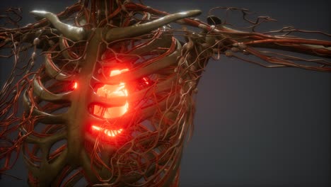 cg animation of a sick human heart