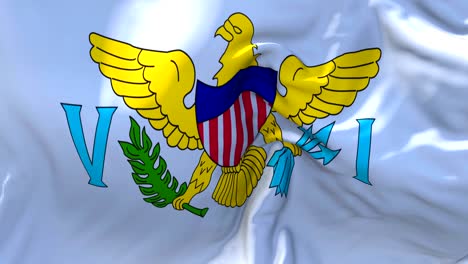 virgin islands us flag waving in wind slow motion animation . 4k realistic fabric texture flag smooth blowing on a windy day continuous seamless loop background.