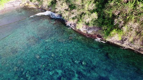 clear ocean and rugged shore with foliage in nusa penida, bali, indonesia