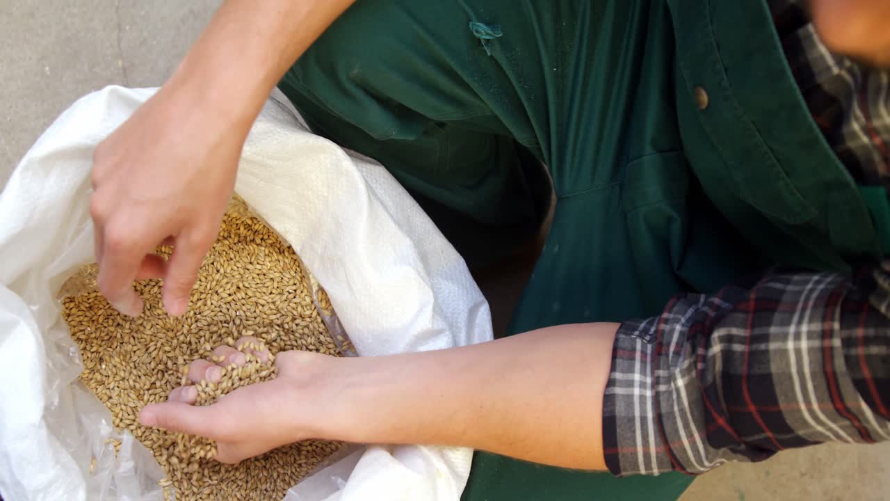 맥주 제조업체가 곡물을 보유하고 있는 4k