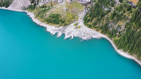 Turquoise-lake-Oeschinensee-with-white-beach-and-autumn-trees-in-Kandersteg,-Bern,-in-the-alps-of-Switzerland