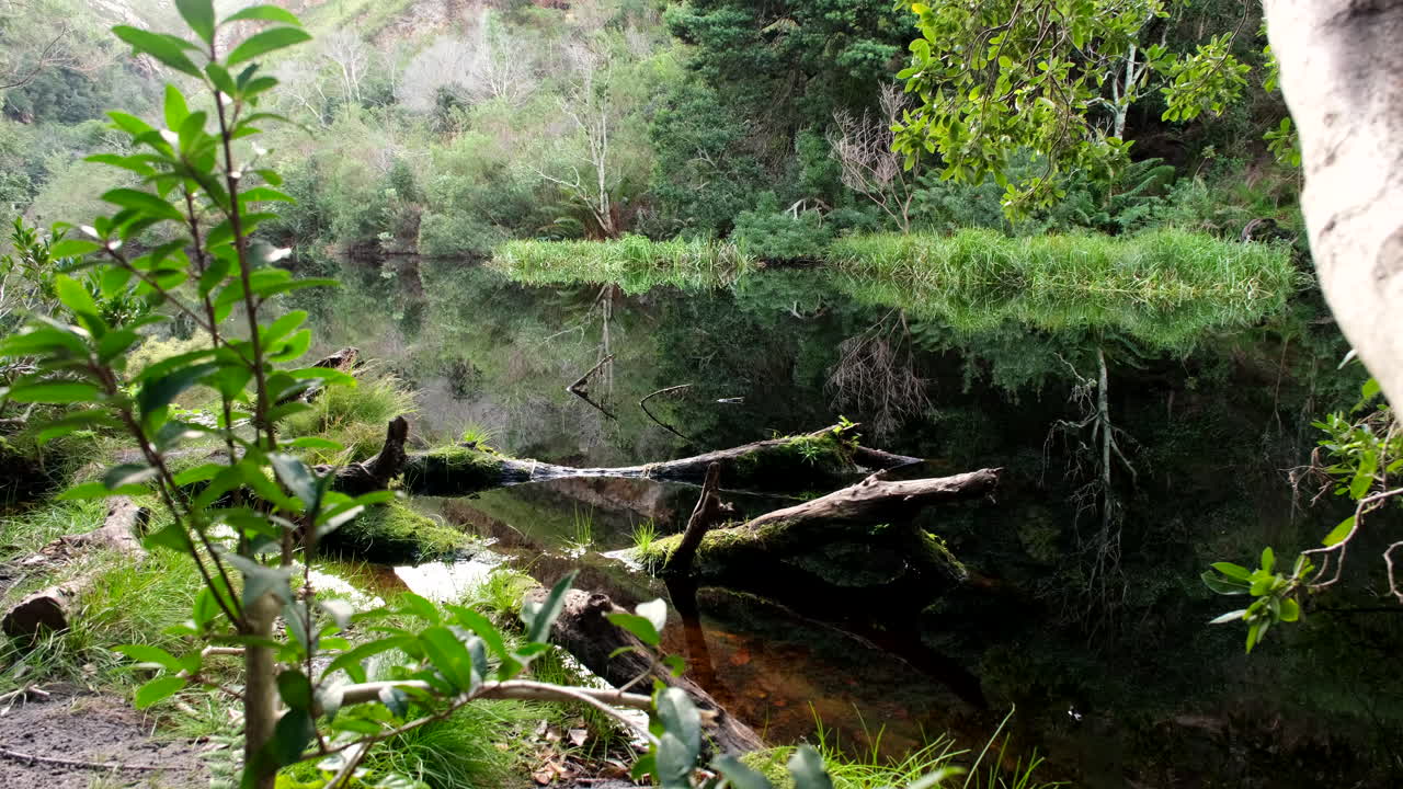 Dark nutrient rich water of Disa Kloof trail dam surrounded by lush vegetation