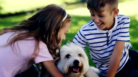 hermanos jugando con su perro en el parque