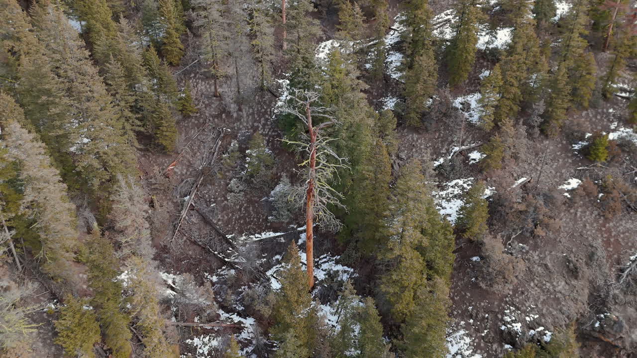 강력한 산꼭대기는 시간의 물결에 맞서 서 있습니다.