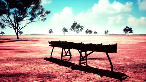 Traditional-old-wooden-aqueduct-in-savanna