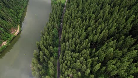 High-up-aerial-of-white-vehicle-driving-along-road-surrounded-by-pine-trees-and-a-big-lake