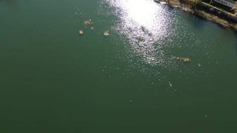 Una-Vista-Aérea-De-Un-Dron-Sobre-Un-Lago-Del-Vecindario-En-Un-Día-Soleado