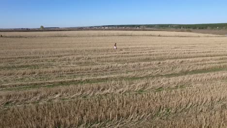 woman walking through a harvested field