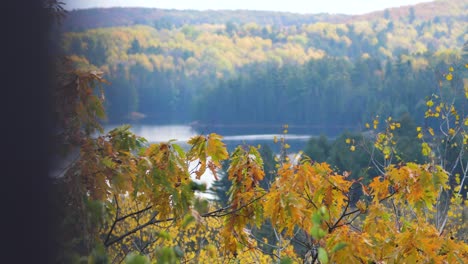 Typische-Kanadische-Herbstlandschaft-Mit-Bunten-Herbstwaldbäumen-Und-See-Im-Herbst,-Algonquin-Park,-Kanada