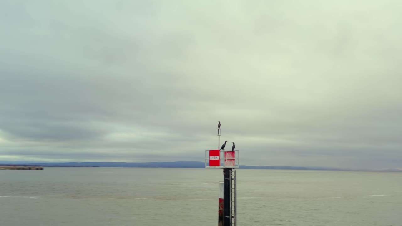 Aerial pullback and orbit of European shags resting on marine structure off Magilligan Point's Martello Tower, Ireland against cloudy sky