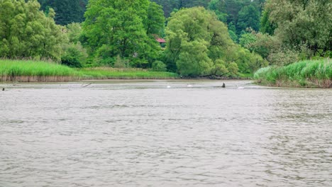 Vista-Panorámica-Desde-Balsa-En-El-Río-Drava-Muta,-Eslovenia,-Cámara-Lenta