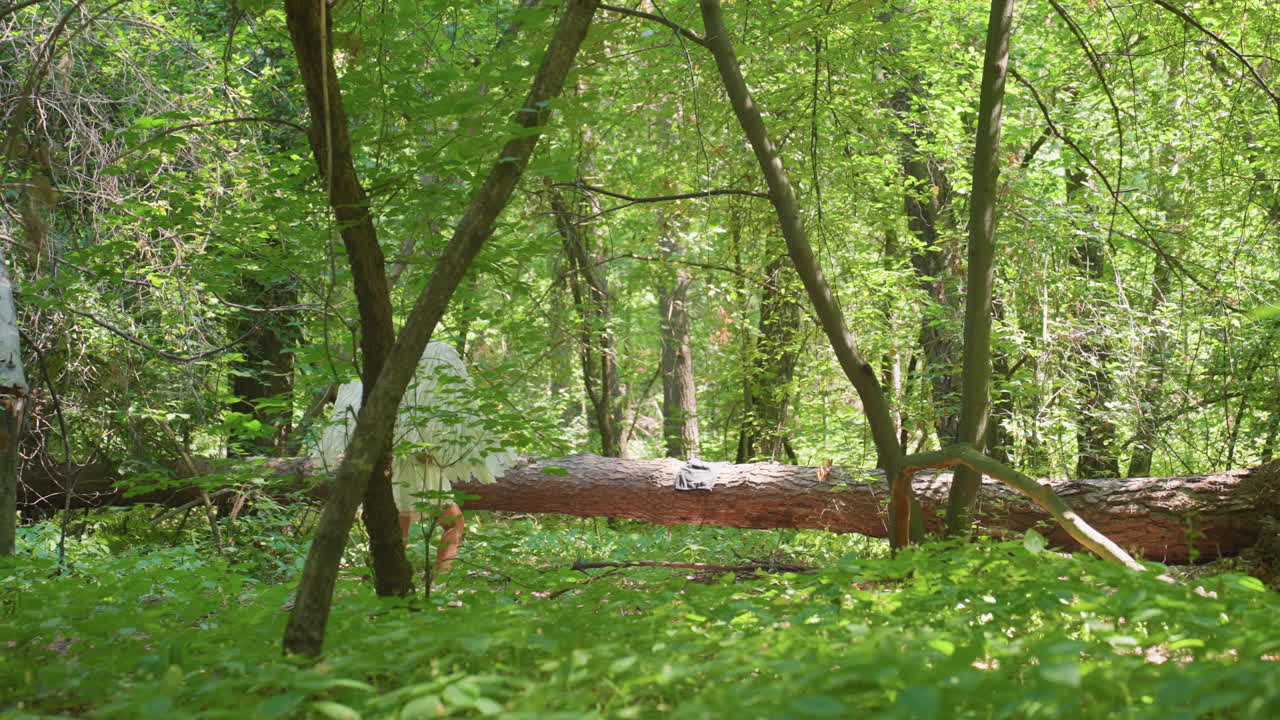 Magical creature with large white wings walks gracefully toward fallen tree in lush green forest under soft sunlight, surrounded by branches and leaves, evoking mystery