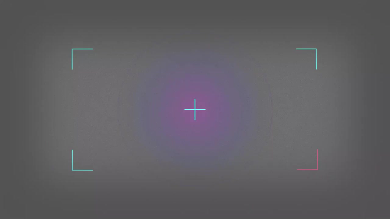Digital Camera Viewfinder Overlay with Flashing Focus Indicators