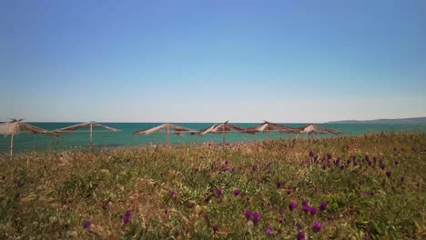 sombrillas de playa miran desde detrás de una colina cubierta de hierba contra un fondo de cielo azul y mar